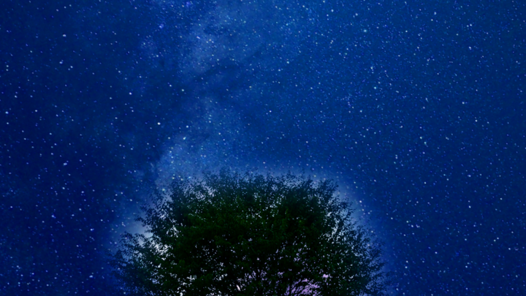 YouTube_Classical Ambient for Meditation and Good Sleep